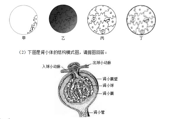 QQ截图20250304011354.jpg